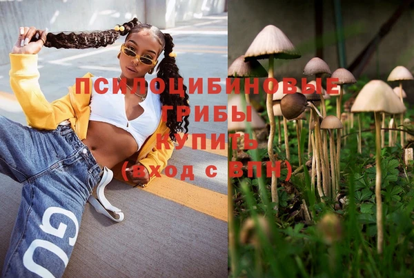 крисы Снежногорск