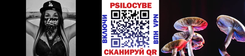 Галлюциногенные грибы Psilocybe  продажа наркотиков  Поворино 